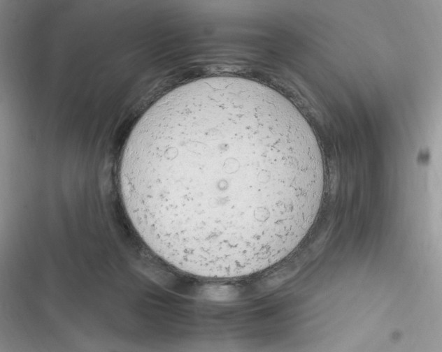 X0000116390169201001131837