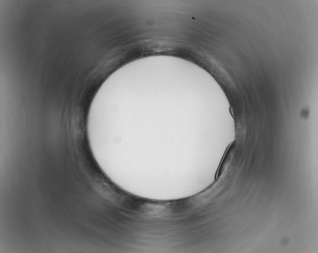 X0000116390170201001131837