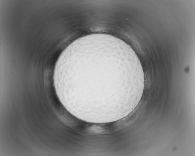 X0000116390171201001131837