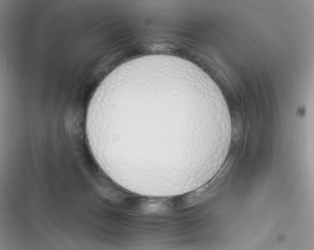 X0000116390175201001131837