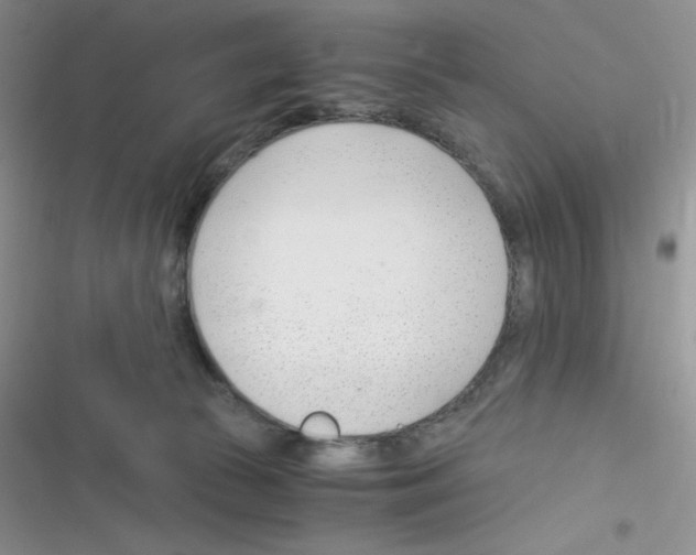 X0000116390177201001131837