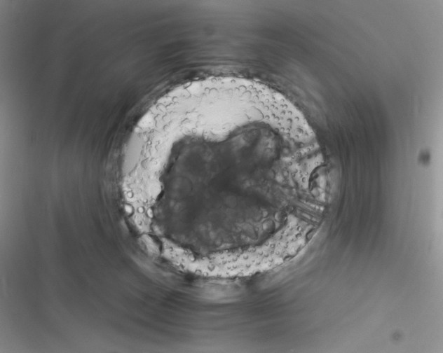 X0000116390179201001131837