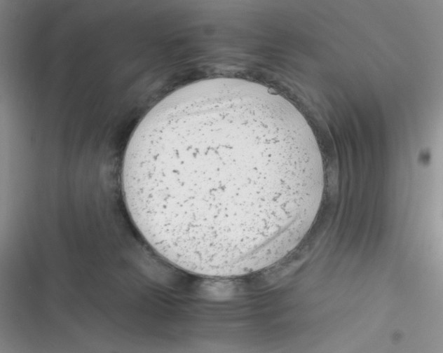 X0000116390181201001131837