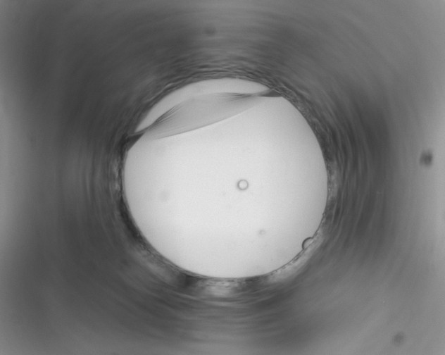 X0000116390182201001131837