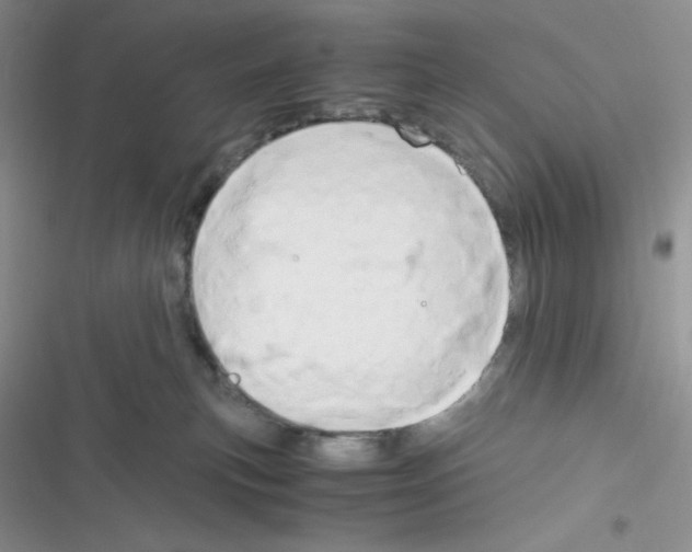 X0000116390183201001131837