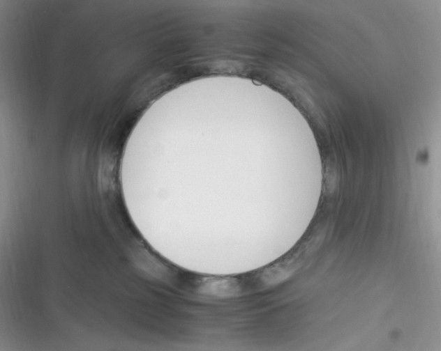 X0000116390185201001131837