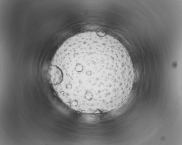 X0000116390187201001131837