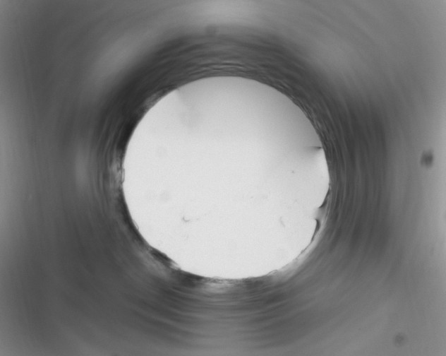 X0000116390190201001131837