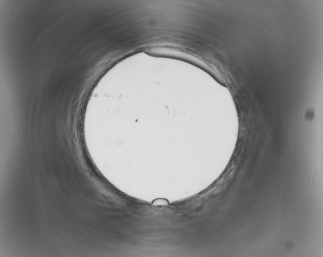 X0000116390193201001131837