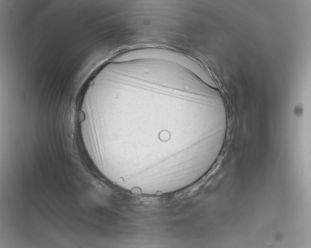 X0000116390194201001131837