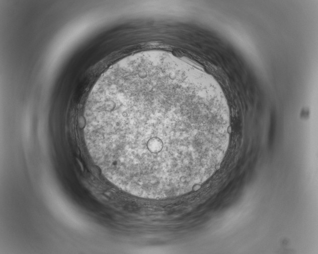 X0000116390195201001131837