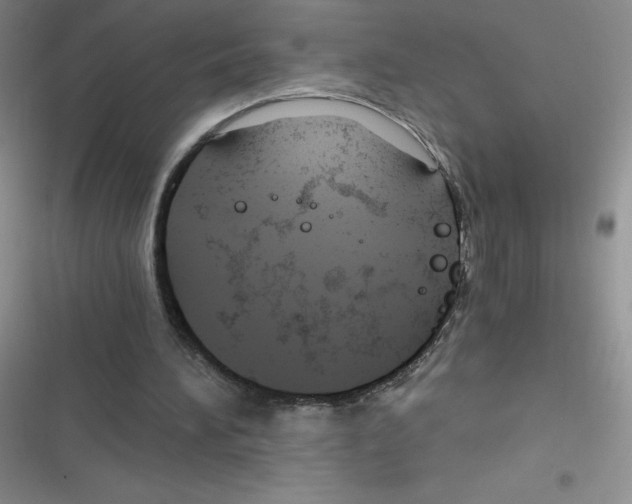 X0000116390196201001131837