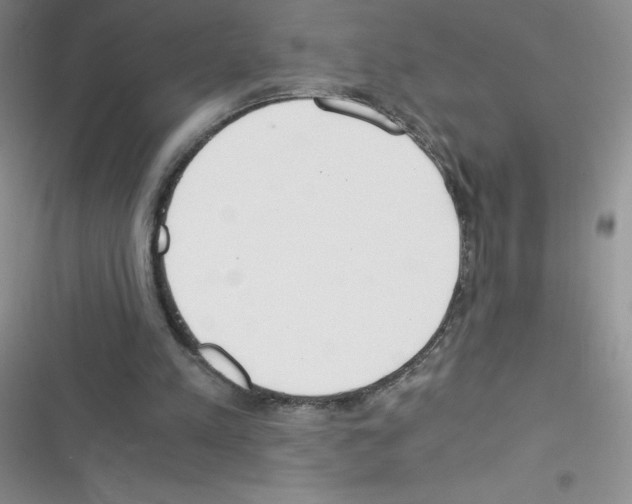 X0000116390197201001131837