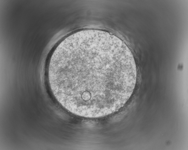 X0000116390199201001131837