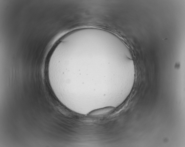 X0000116390200201001131837