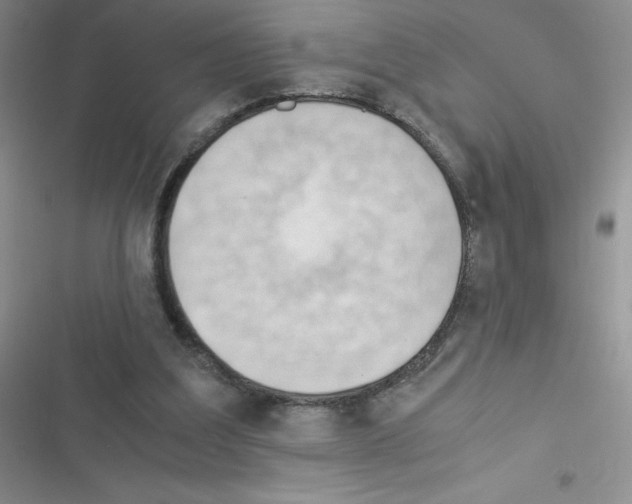 X0000116390203201001131837