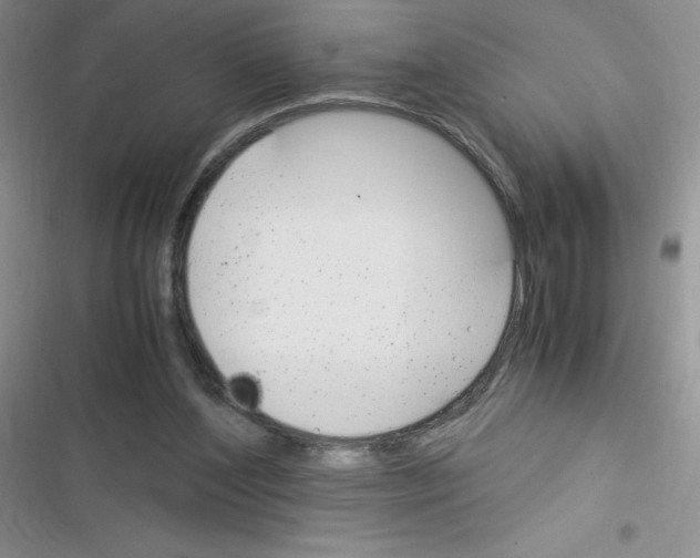 X0000116390204201001131837