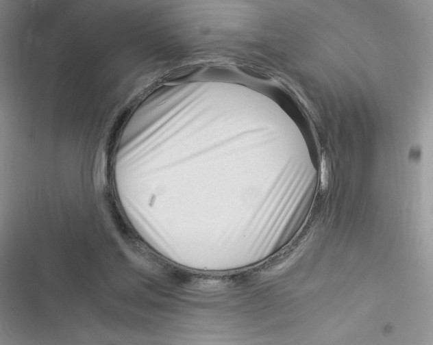 X0000116390205201001131837