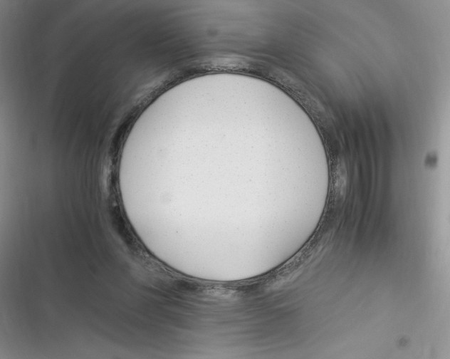 X0000116390206201001131837