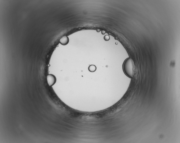 X0000116390208201001131837