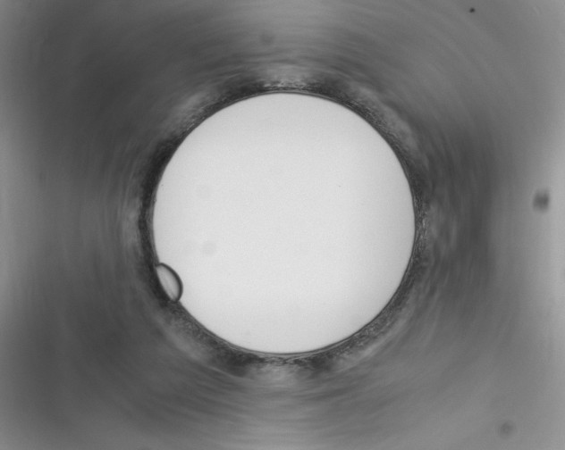 X0000116390209201001131837