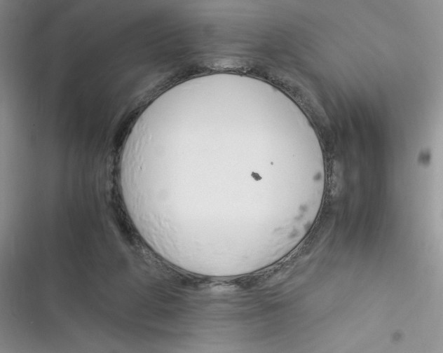 X0000116390210201001131837
