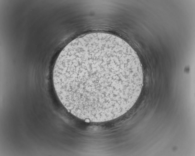 X0000116390211201001131837