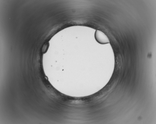 X0000116390212201001131837
