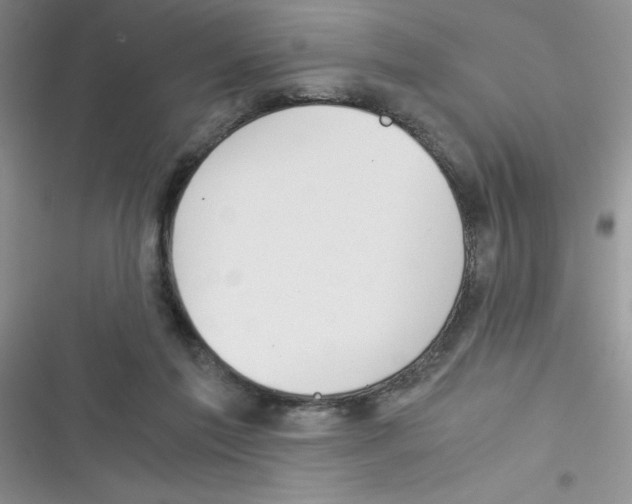 X0000116390213201001131837