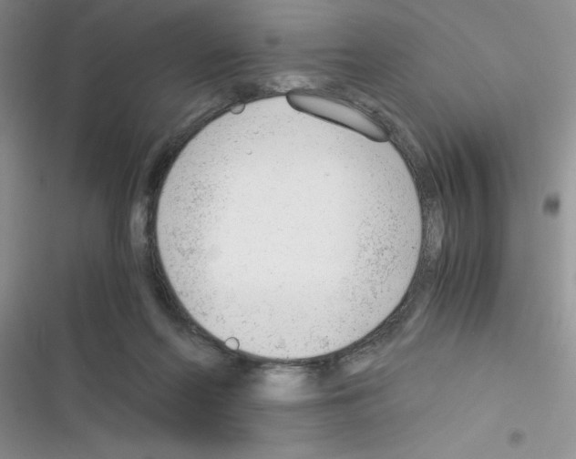 X0000116390214201001131837