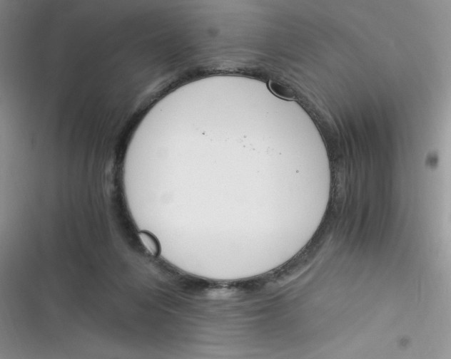 X0000116390216201001131837