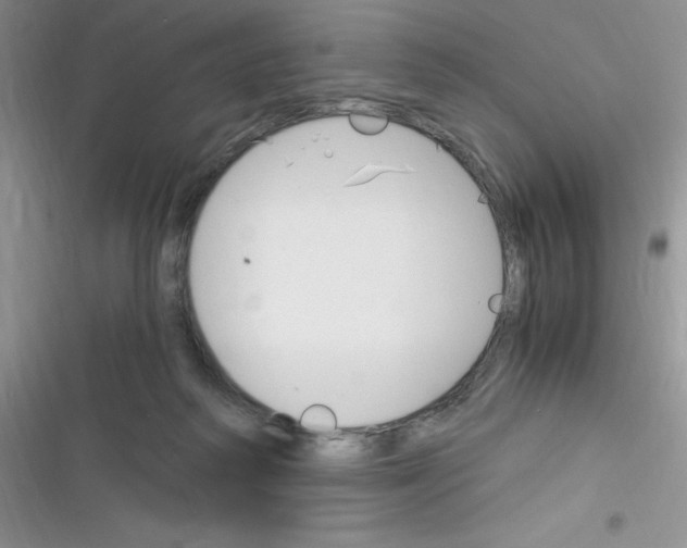 X0000116390218201001131836