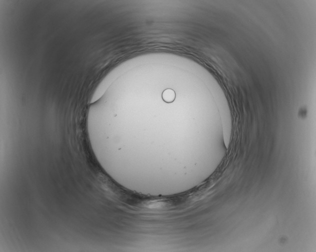 X0000116390219201001131836