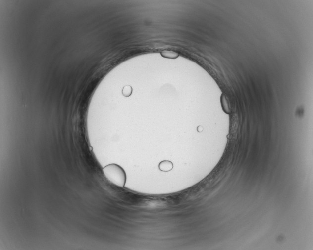 X0000116390220201001131836