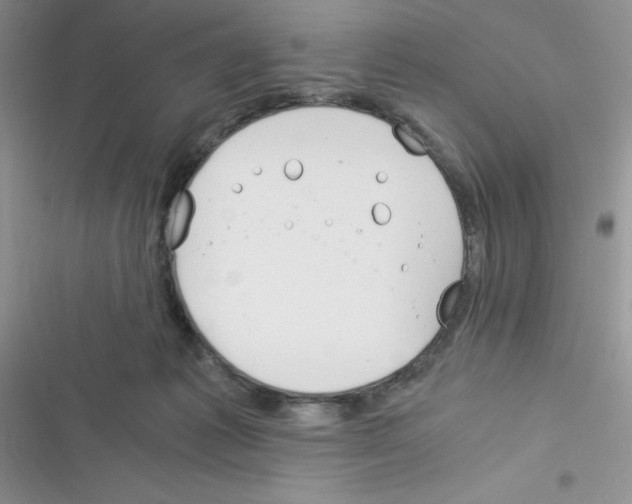 X0000116390221201001131836