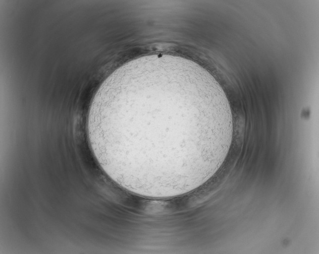 X0000116390222201001131836