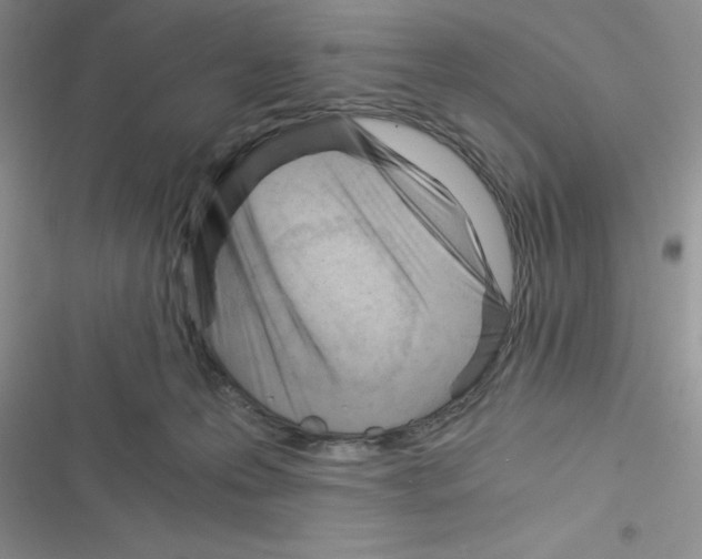 X0000116390223201001131836