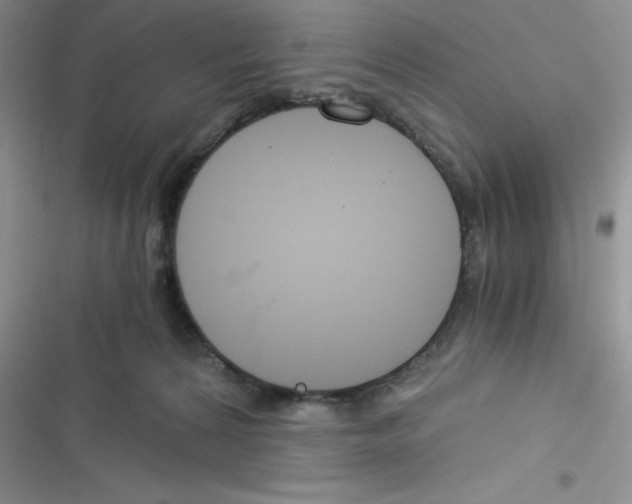 X0000116390224201001131836