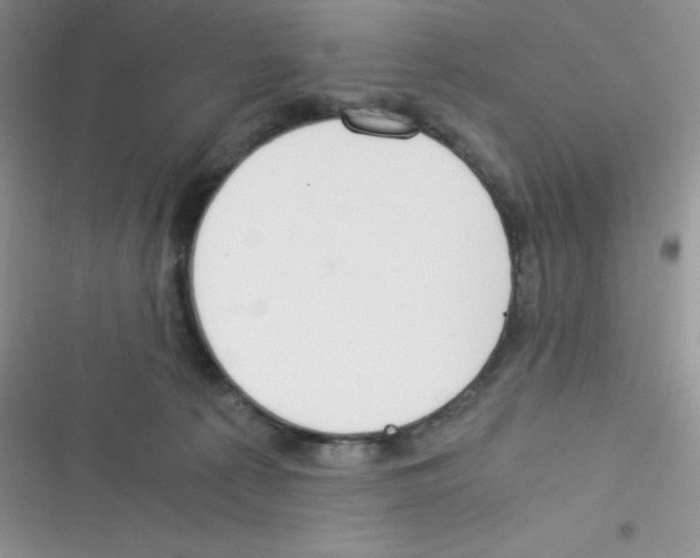 X0000116390225201001131836