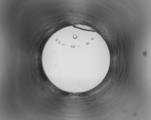 X0000116390228201001131836