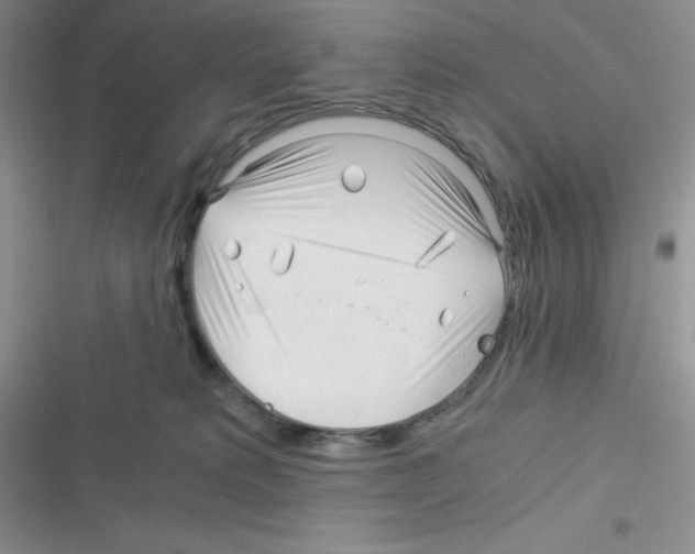 X0000116390229201001131836