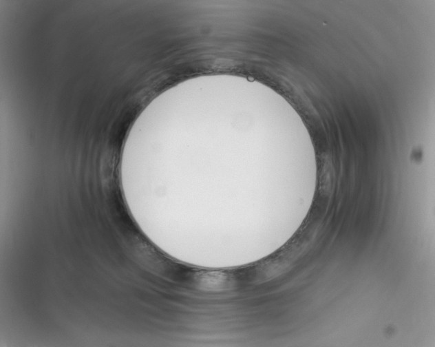 X0000116390230201001131836