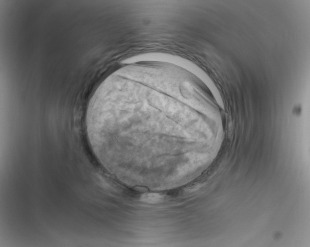 X0000116390231201001131836