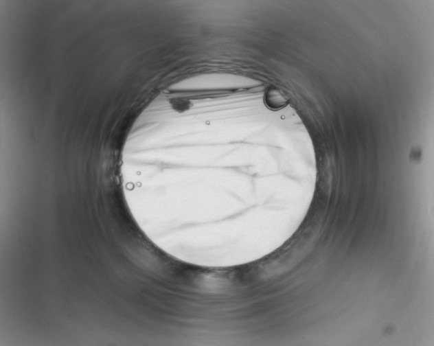 X0000116390232201001131836
