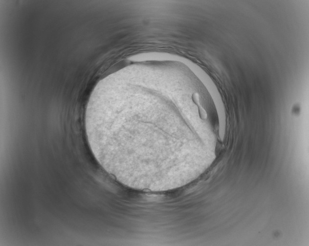 X0000116390233201001131836