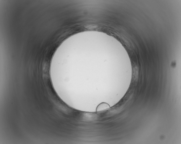 X0000116390234201001131836