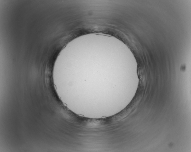 X0000116390235201001131836