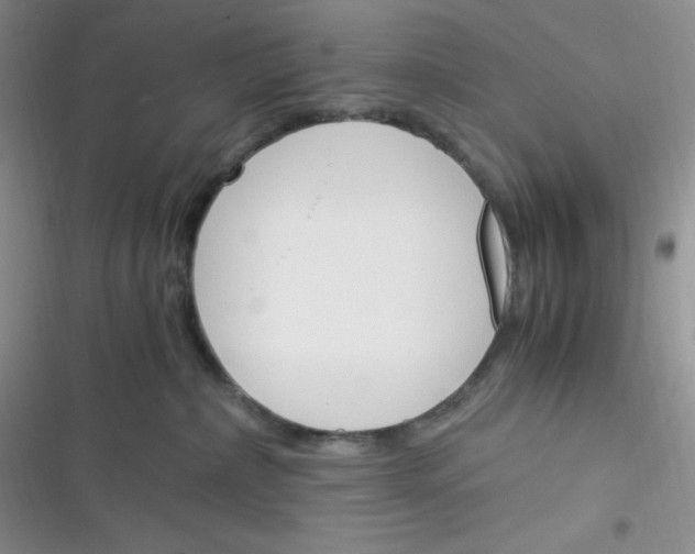 X0000116390236201001131836