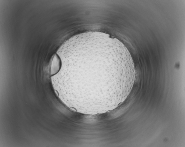 X0000116390238201001131836