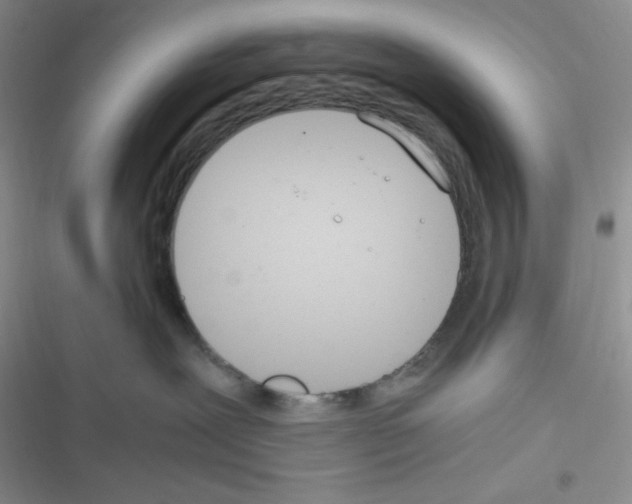 X0000116390239201001131836